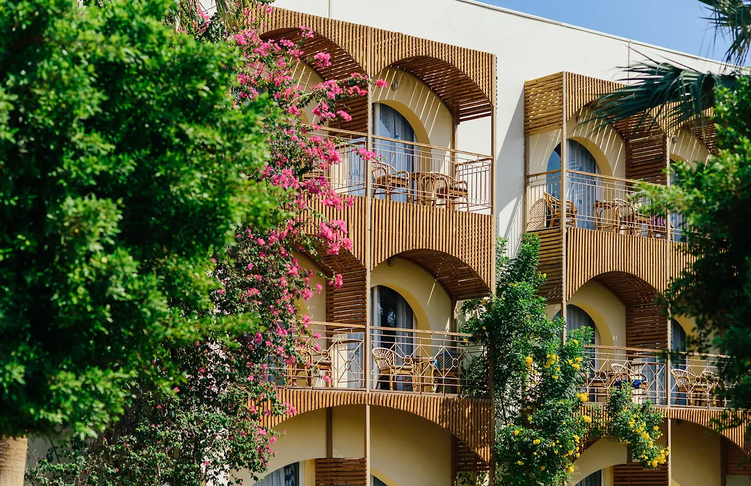 Desert Rose Resort-1