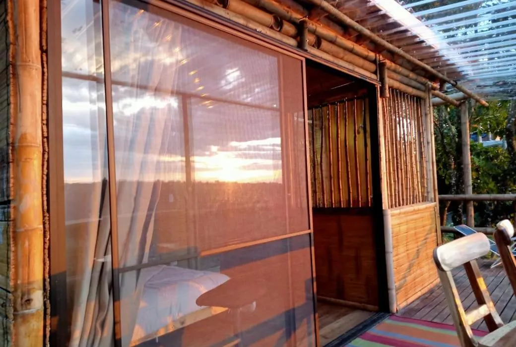 Glamping & Eco-Cabanas Salento Hakuna Matata Timon-1