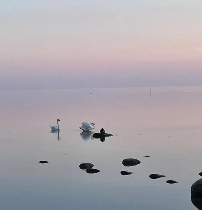 Atpuutas Maja Pie Juras-Rinki,Zvejniekciems Ainazu Iela 61-1