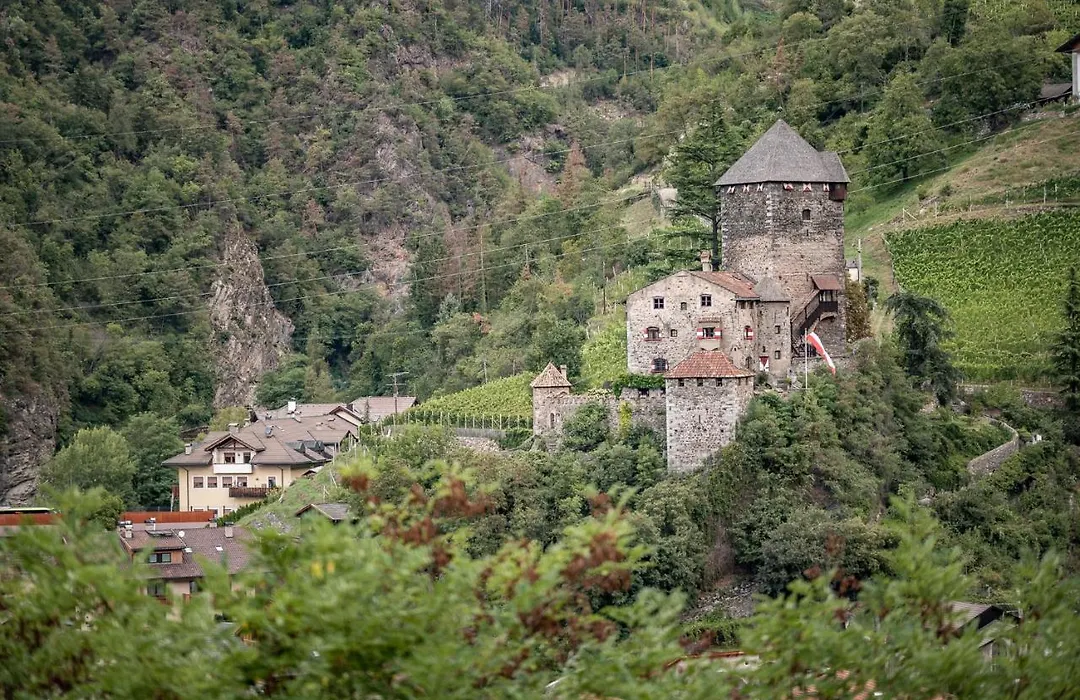 Hotel Rierhof-1