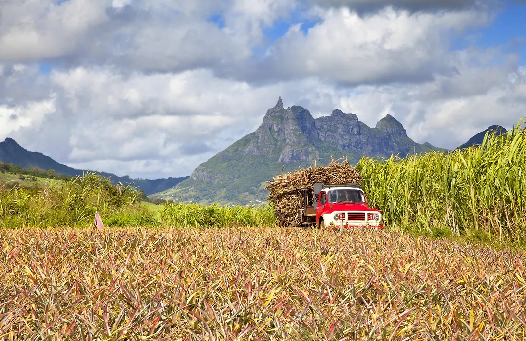 Intercontinental Mauritius Resort Balaclava Fort By Ihg-1