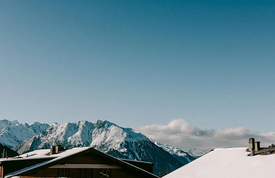 Experimental Chalet Verbier-1