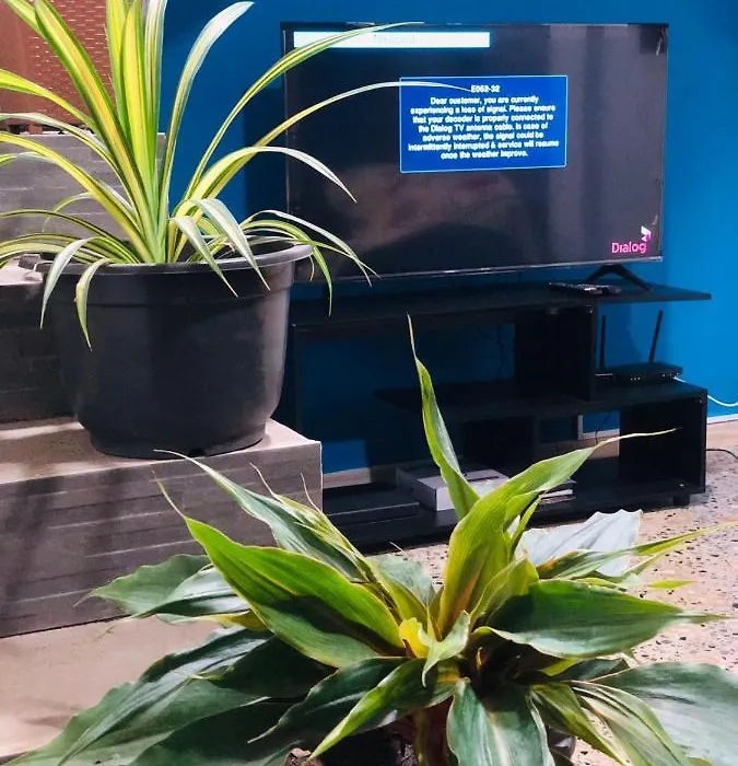 White Villa 19A Homestay-1