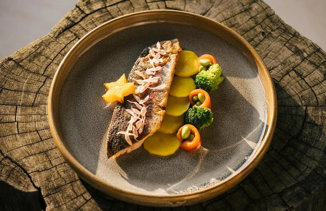 Six Senses Vana - A Wellness Retreat-1