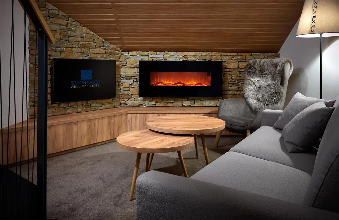 Wellness Hotel Svornost-1