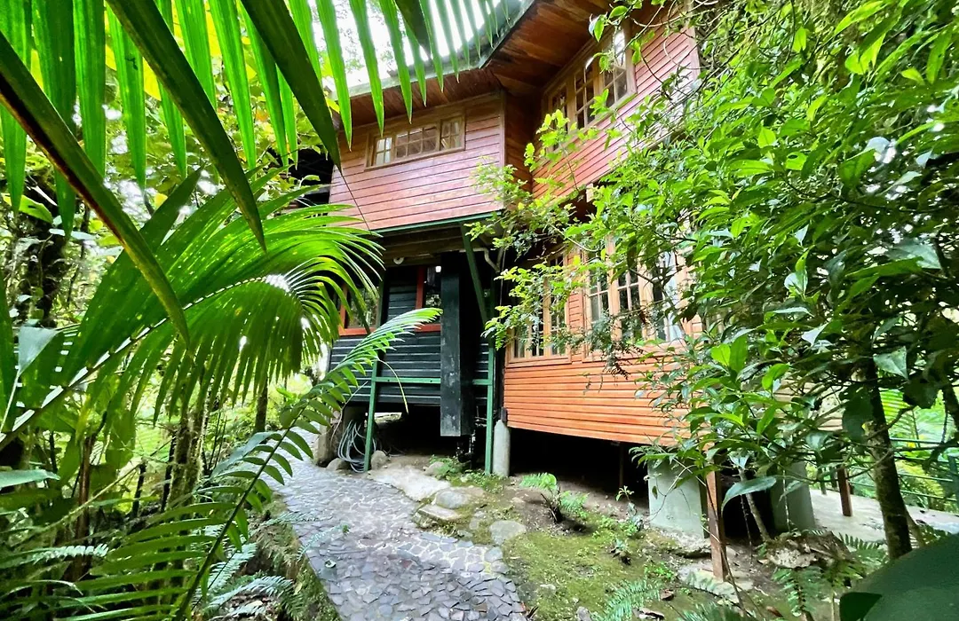 Los Quetzales Ecolodge & Spa-1