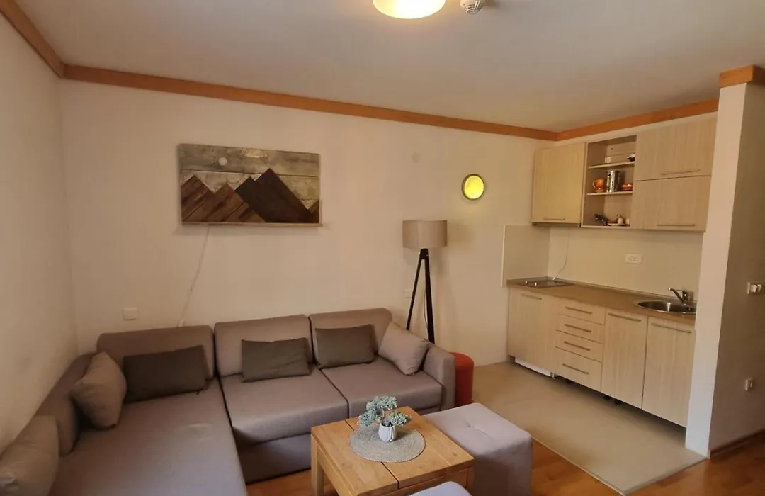 Apartment U345 - Aparthotel Vucko Jahorina - Private Host-1