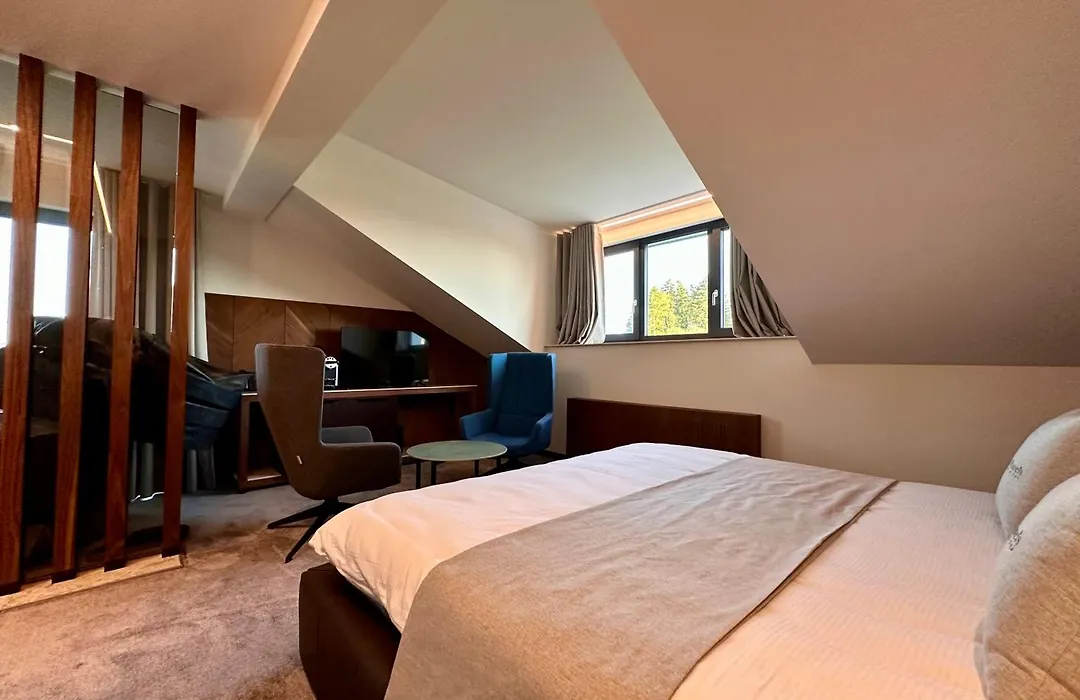 Hotel Restaurant & Spa Les Planets-1