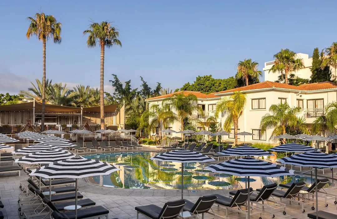 King Jason Paphos - Designed For Adults By Louis Hotels-1