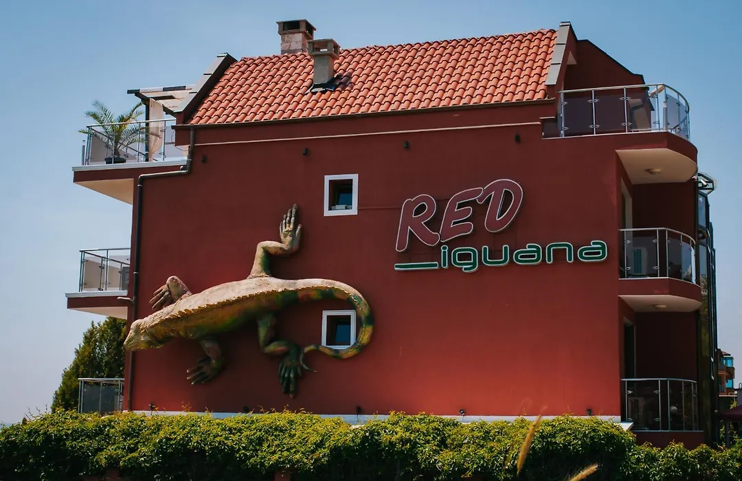 Red Iguana Hotel-1