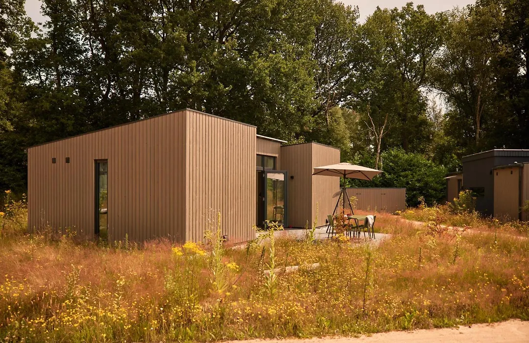 Zeegser Duinen-1