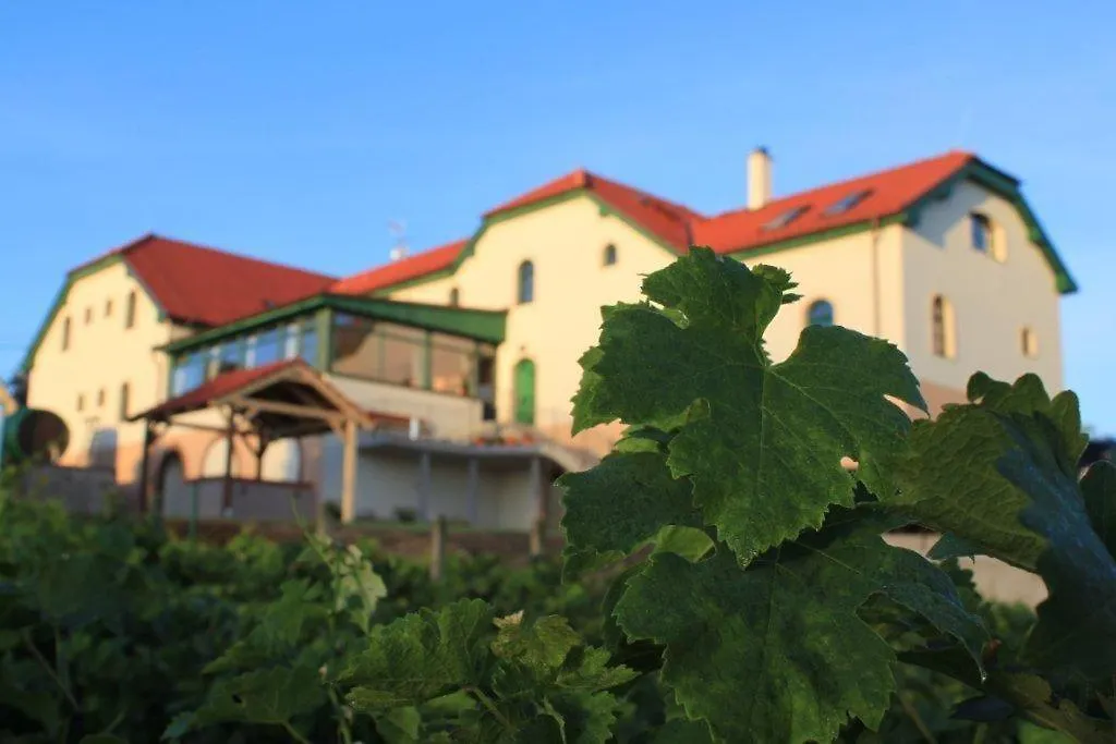 Hotel Vinohrad-1