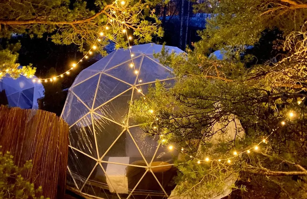 Finndome-1