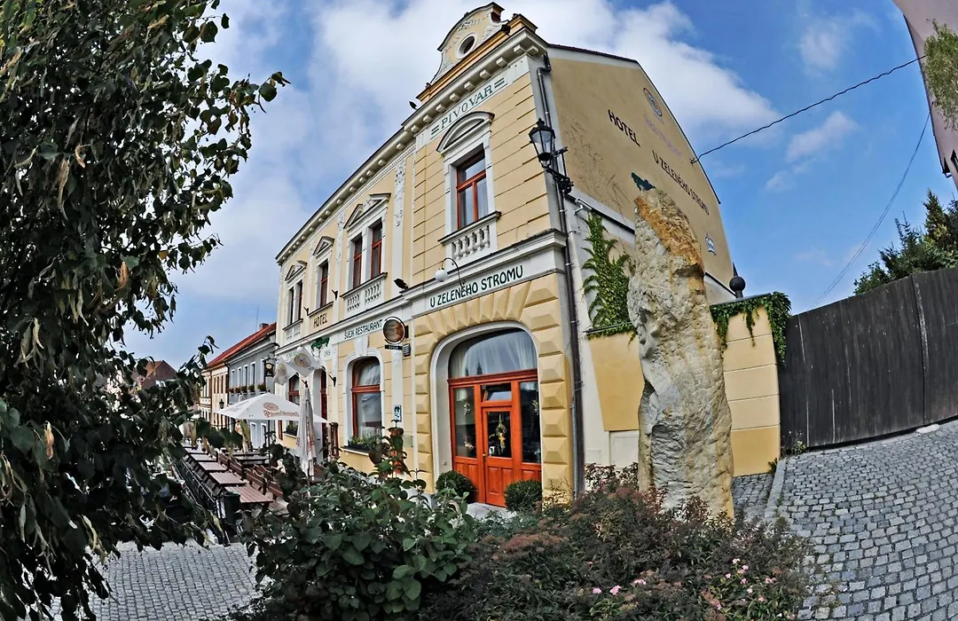 Hotel U Zeleneho Stromu-1