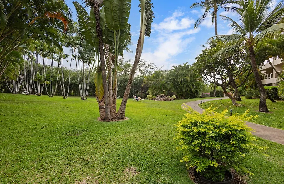 Mbq110Ii Tropical Serenity - Spacious Beautiful Maui Suite-1