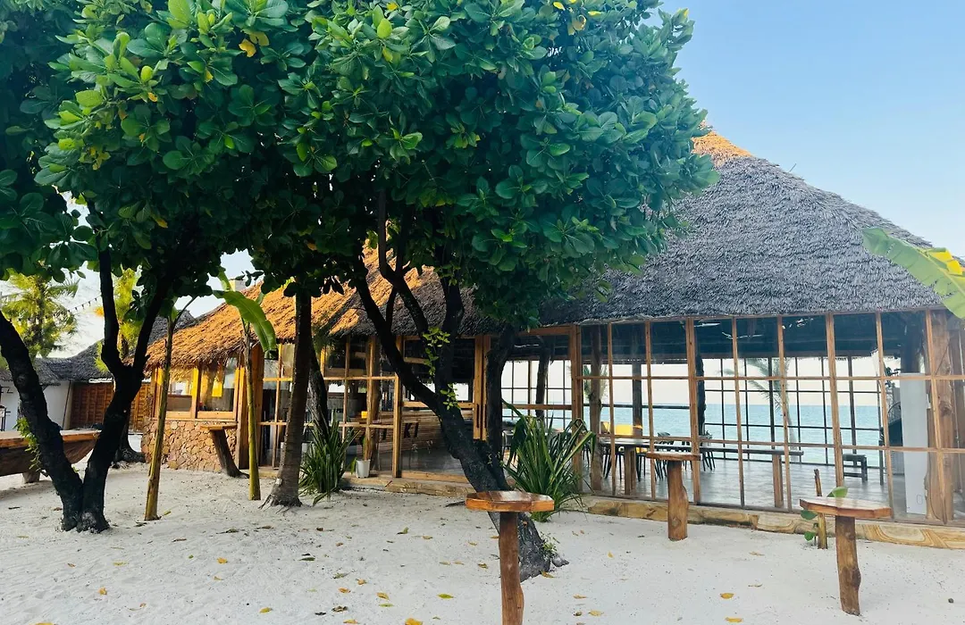 TIKI Beach Club&Resort-1