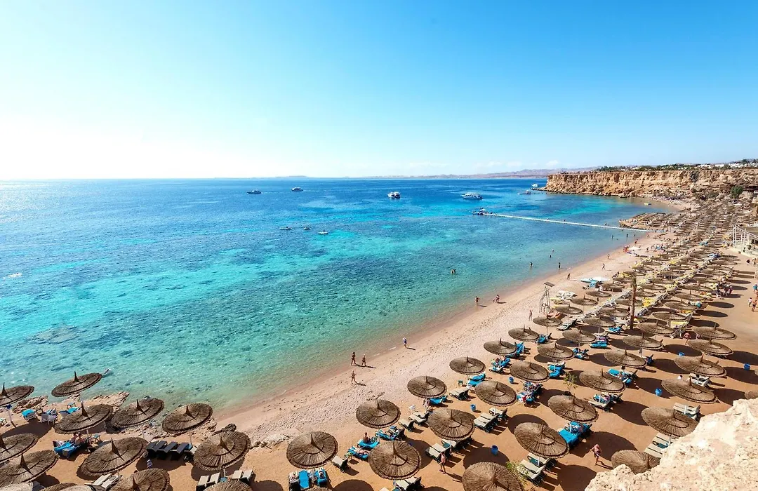 Reef Oasis Beach Resort-1