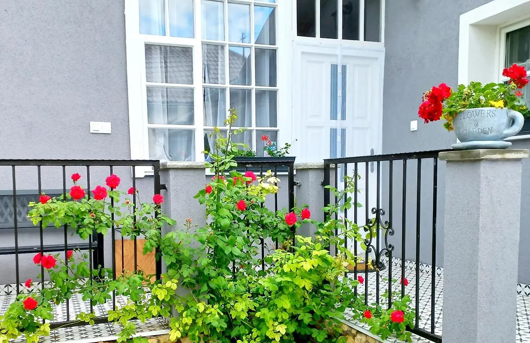 Blanka Villa Wellness Home-1