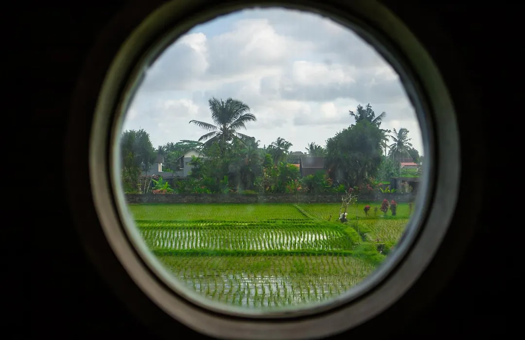 Panorama Paddy Paradise-1