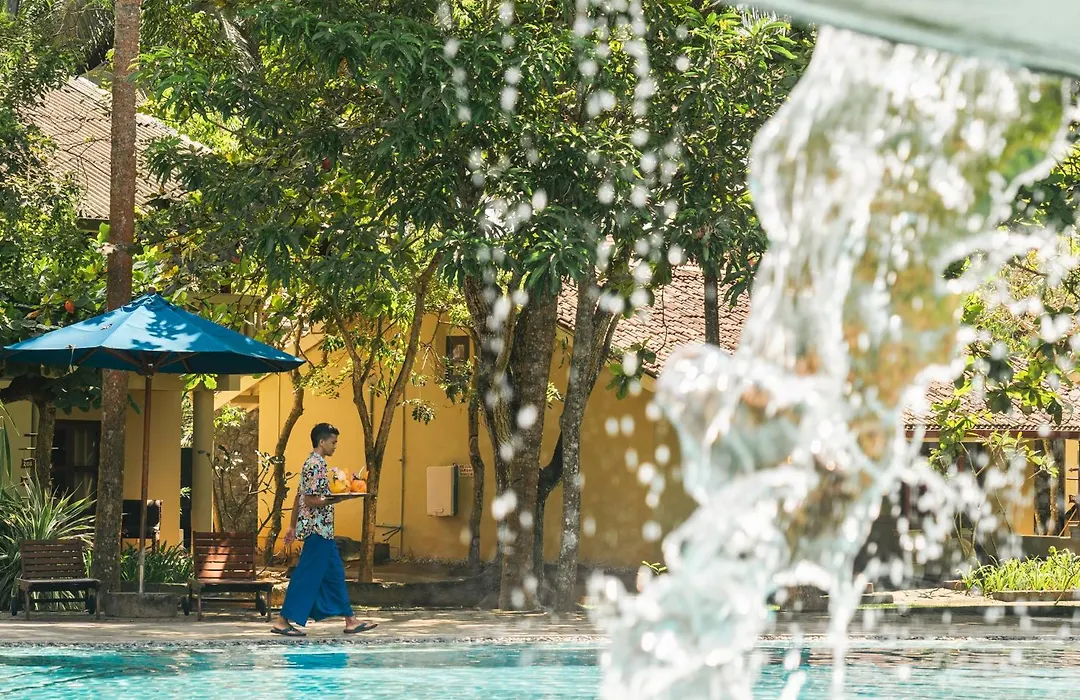 Siddhalepa Ayurveda Resort - All Meals, Ayurveda Treatment And Yoga-1