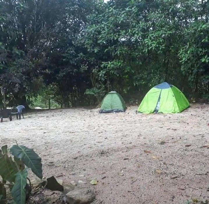 Finca De La Vaca - Camping-1