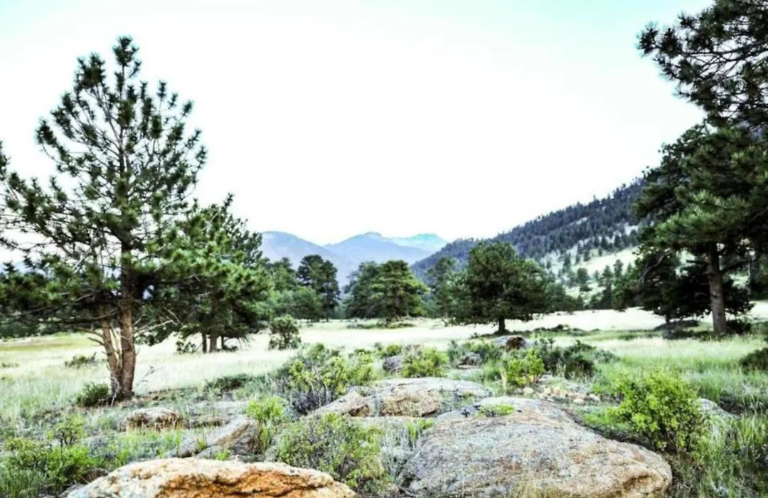 Diamond - The Historic Crags Lodge - St-1