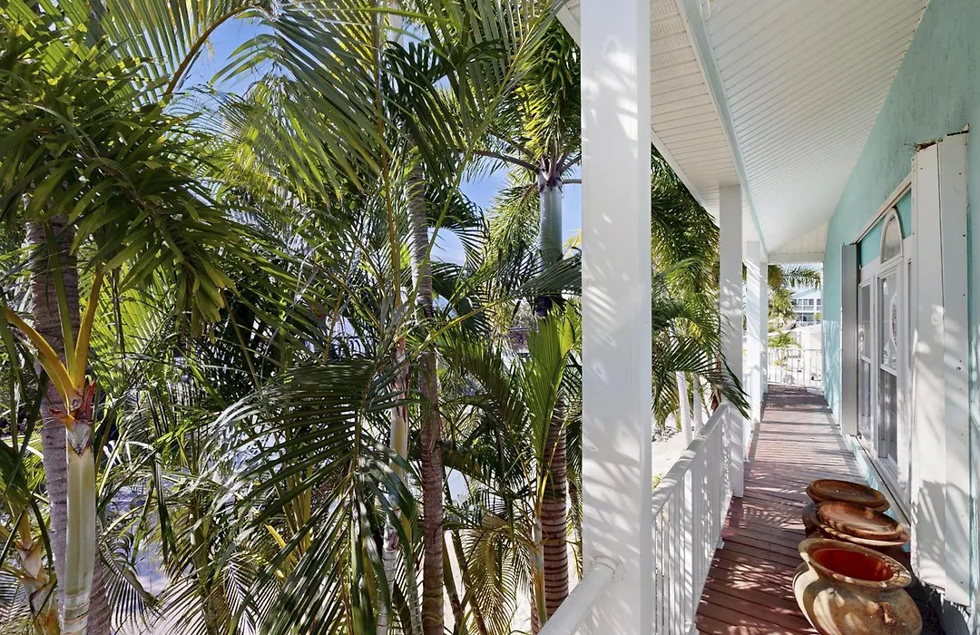 Tropical Escape-1