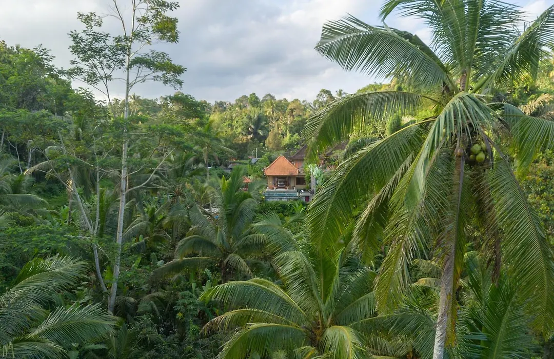 Gunung Kawi Villa By Yukaya Escape-1