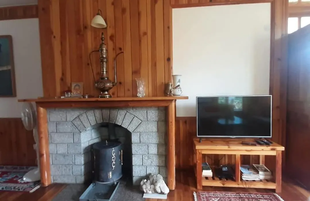 Manali House-1