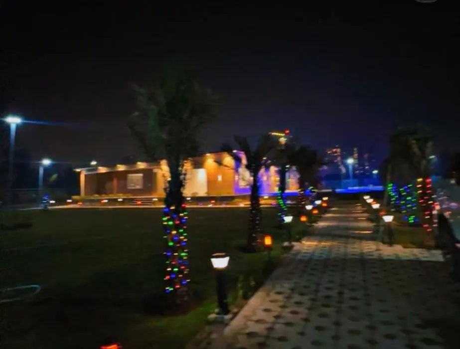 Ever Green Forest-1