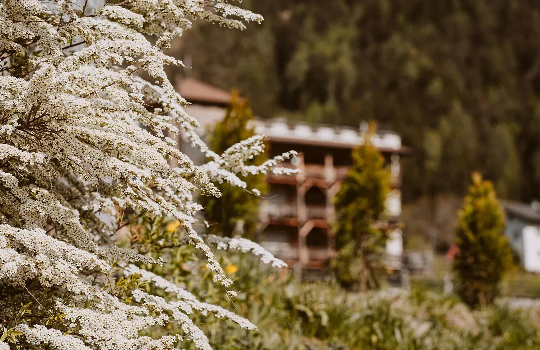 Hotel Bergschlössl-1
