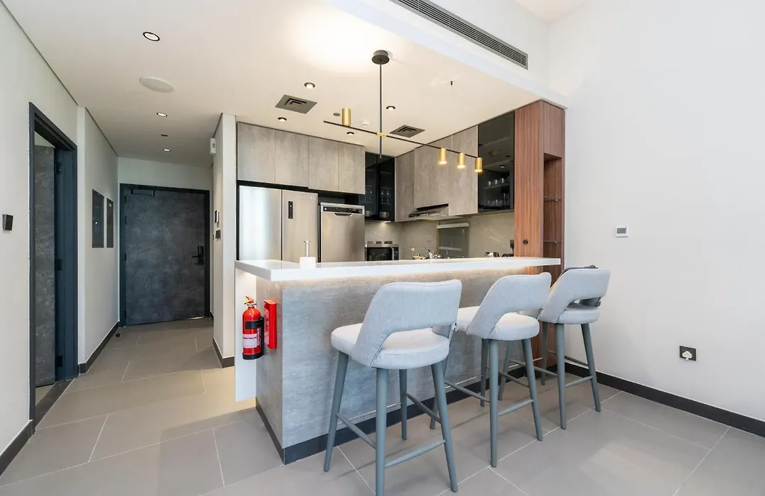 Brand New Luxury One Bedroom-1