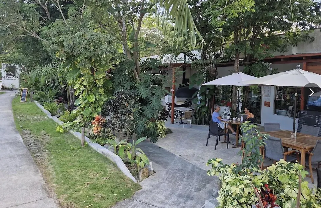 Glass Jungle Villa With Amazing Green Views -10 Min Dt-1