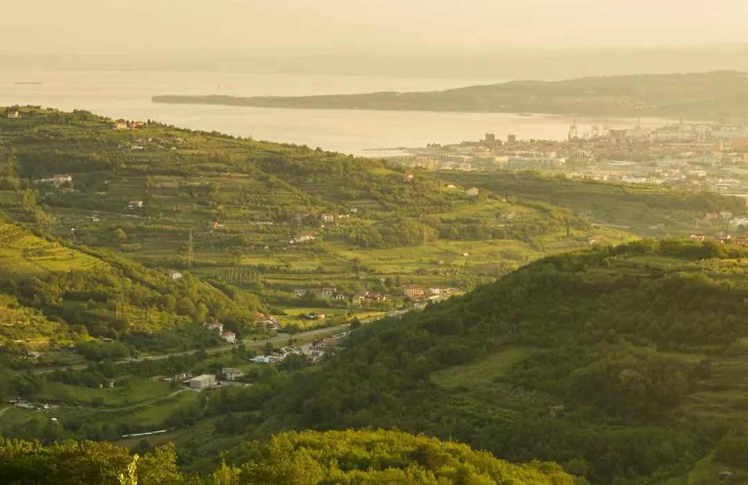 Hotel Capris Capodistria Boutique-1