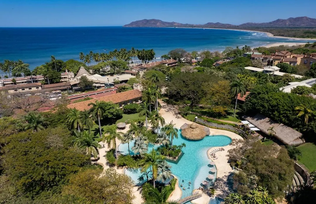 Matapalo Diria #504 Amazing Condo-Ocean View-1