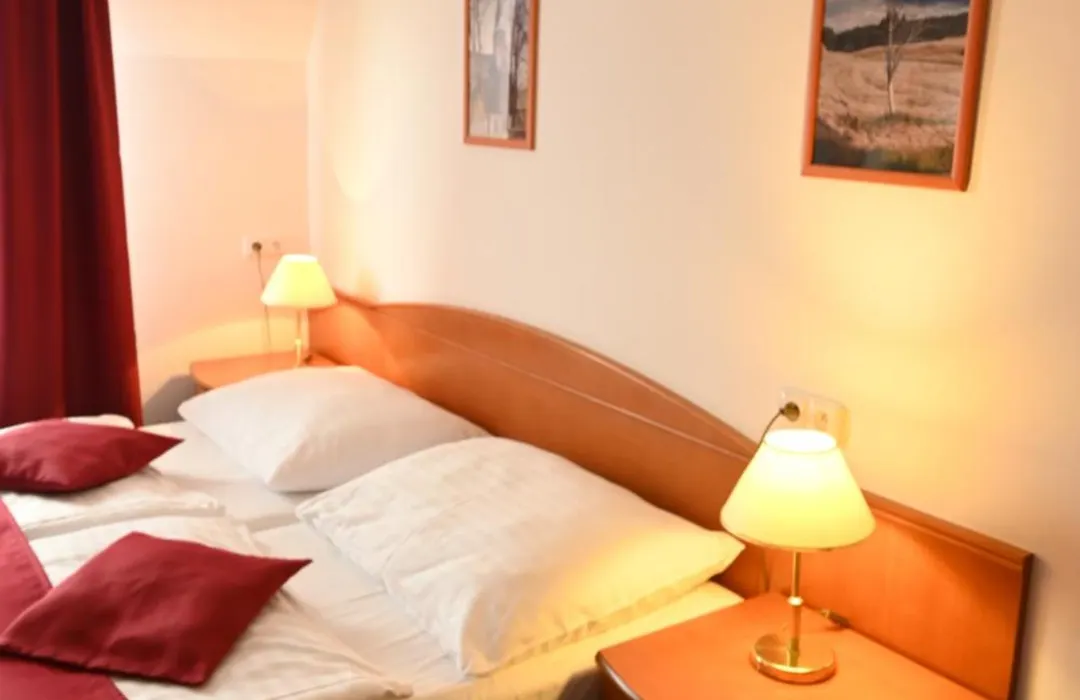 Wellness Hotel Anna Nejdek-1