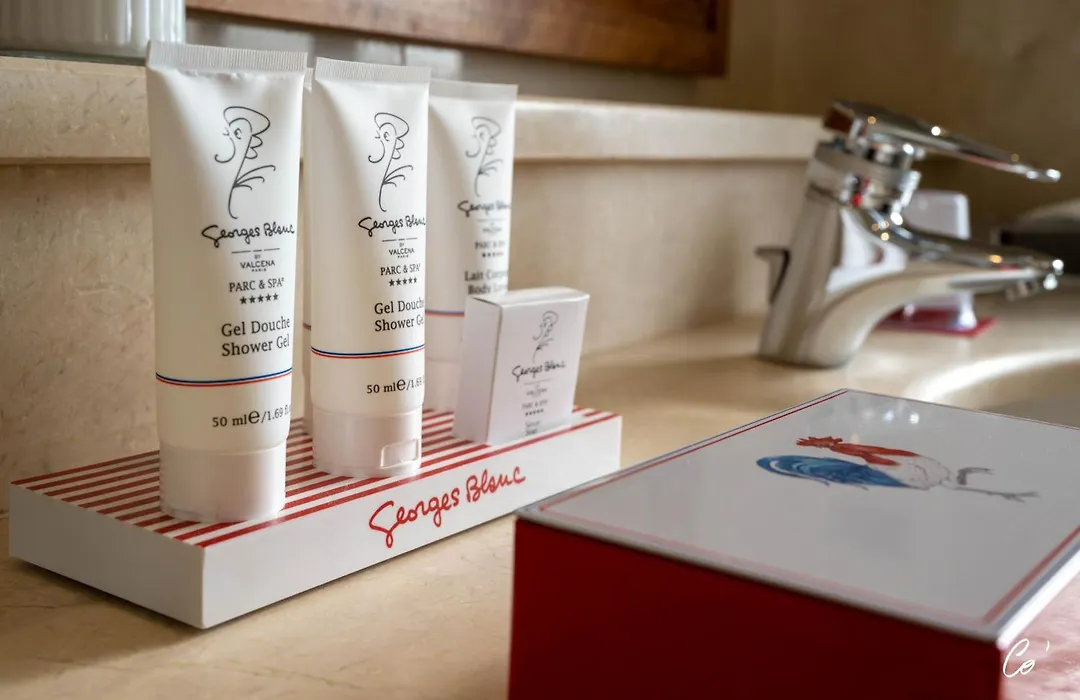 Georges Blanc Parc & Spa - Relais & Chateaux-1