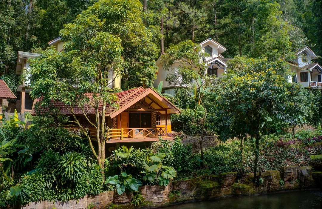 Safari Resort-1