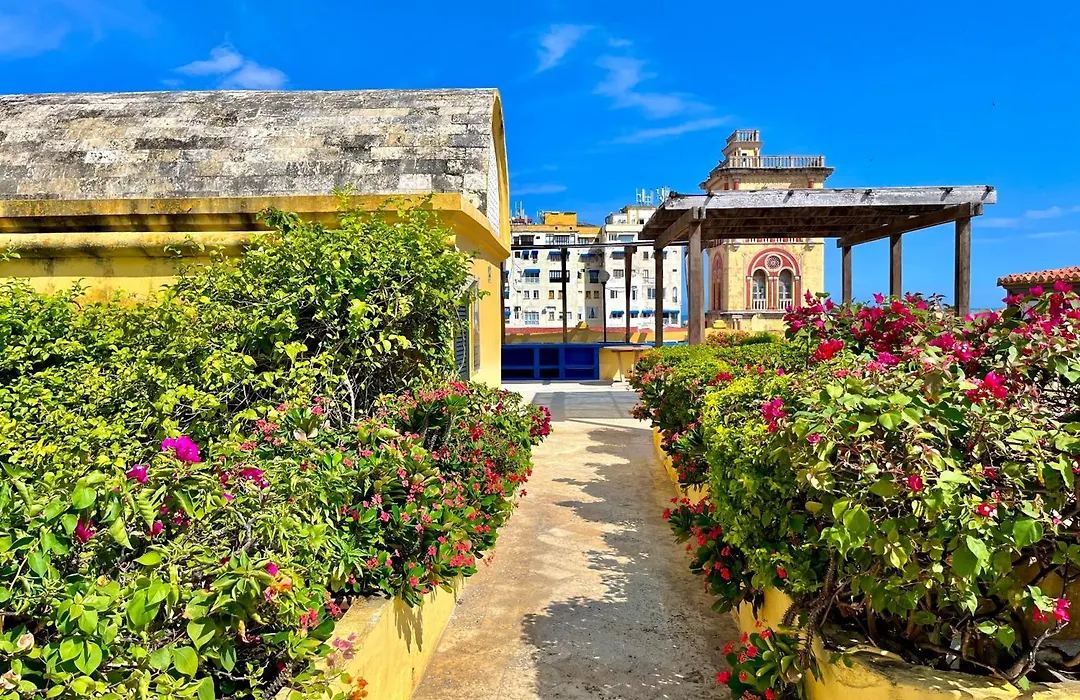 By Calamari Homes - El Porvenir 207 Walled City-1