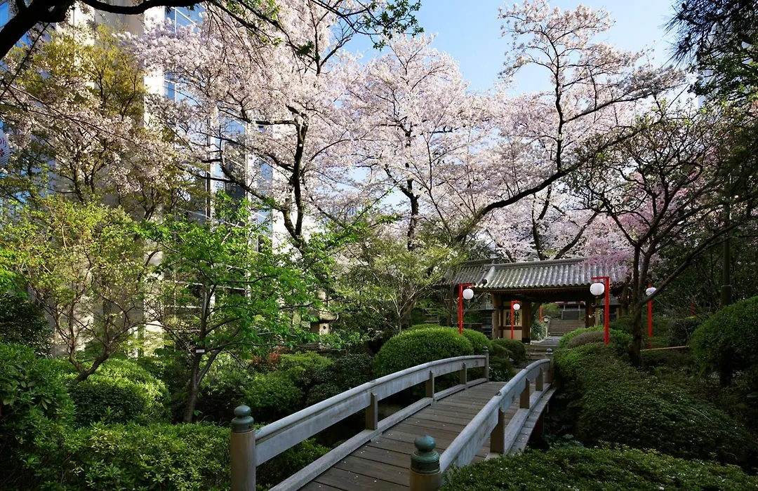 The Prince Sakura Tower Tokyo, Autograph Collection-1