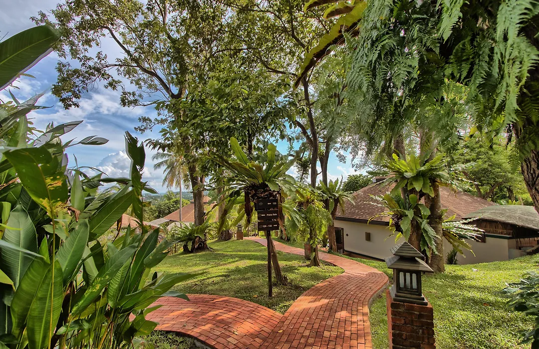 Mangosteen Ayurveda&Wellness Resort - SHA Plus-1