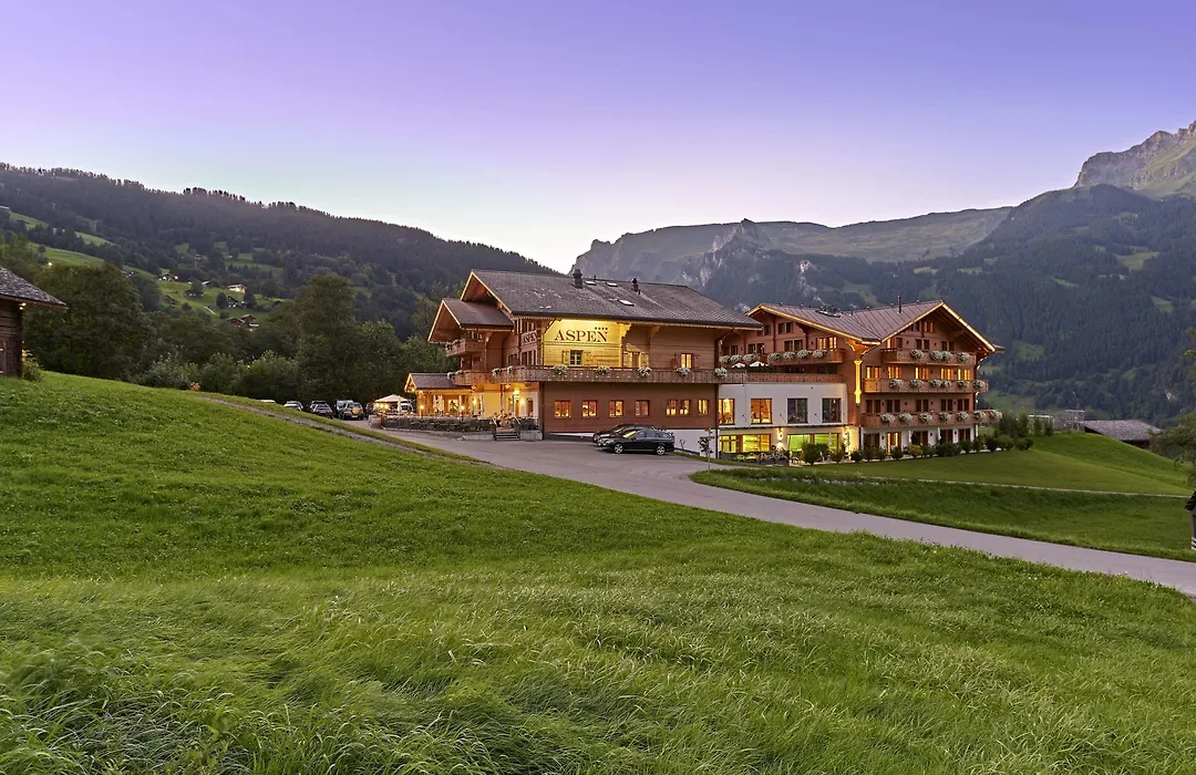 Aspen Alpine Lifestyle Hotel-1