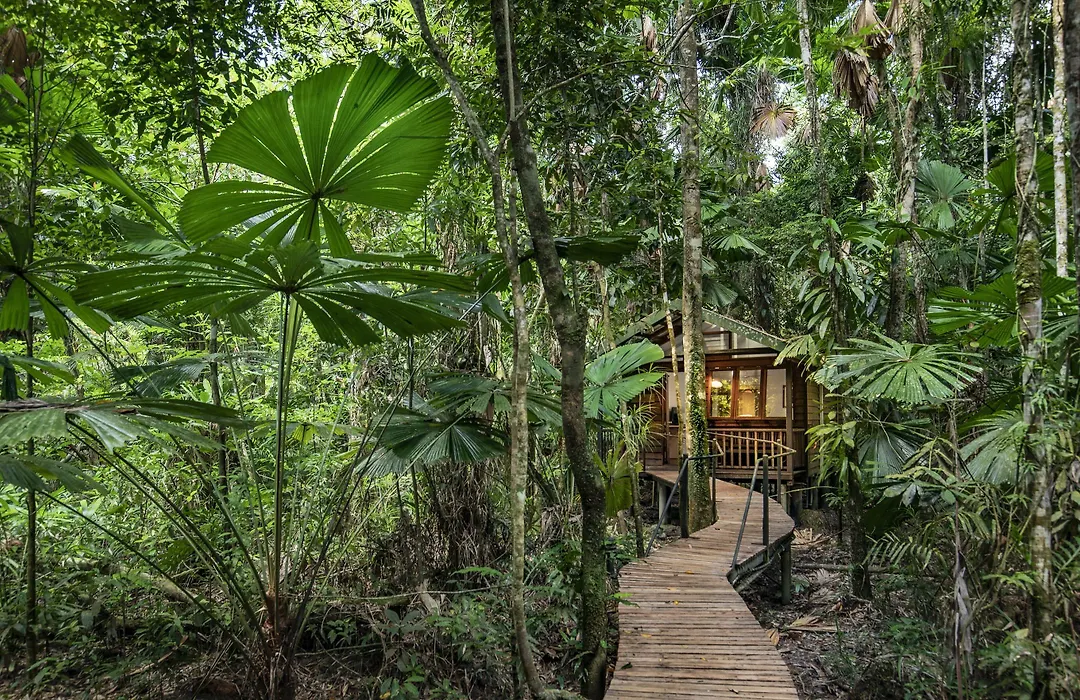Daintree Wilderness Lodge-1