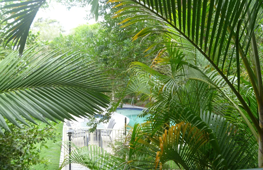 Chez Noosa Holiday Apartments-1