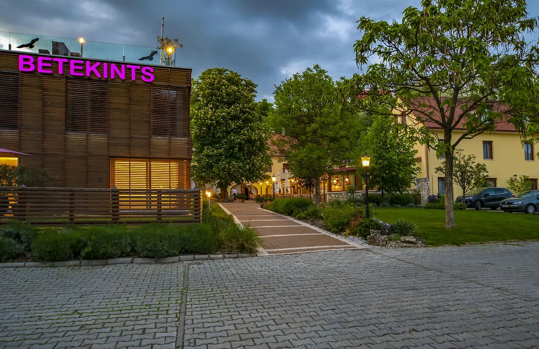 Betekints Wellness Hotel-1