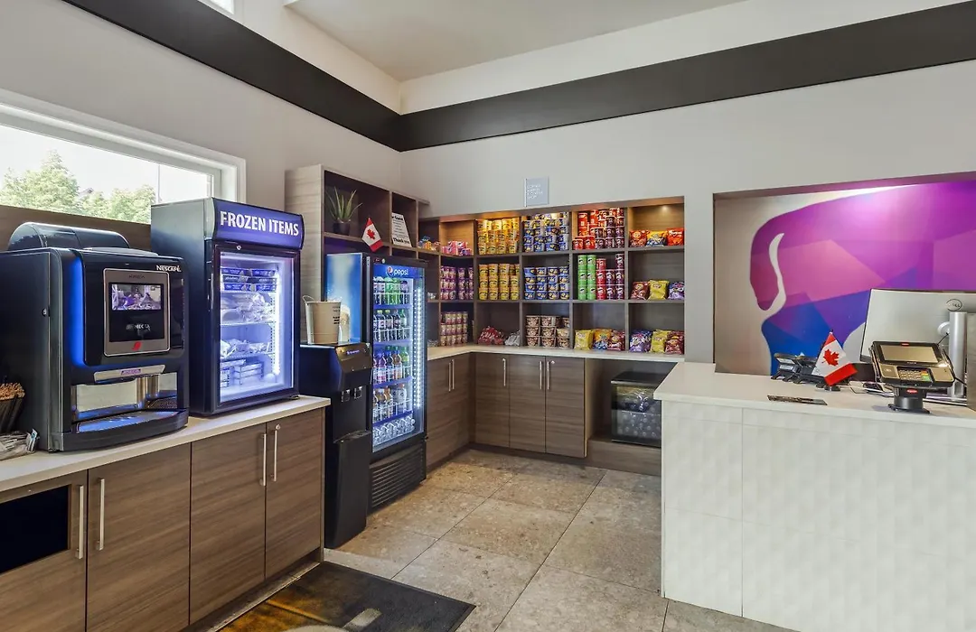 Best Western Plus West Edmonton-1