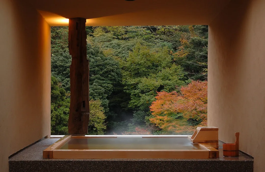 Hakone Suimeisou-1