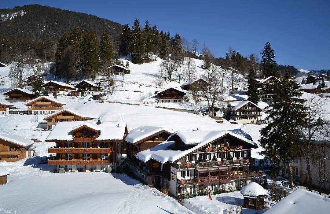 Hotel Caprice - Grindelwald-1