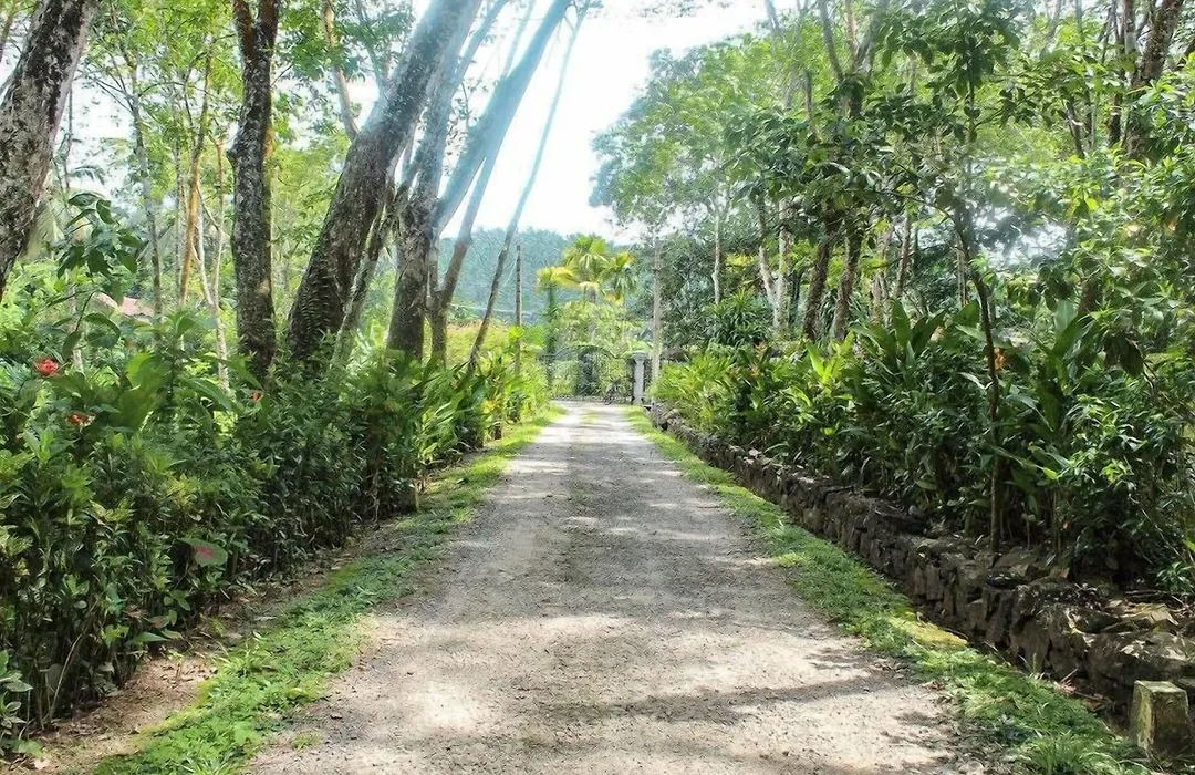 Plantation Villa-1
