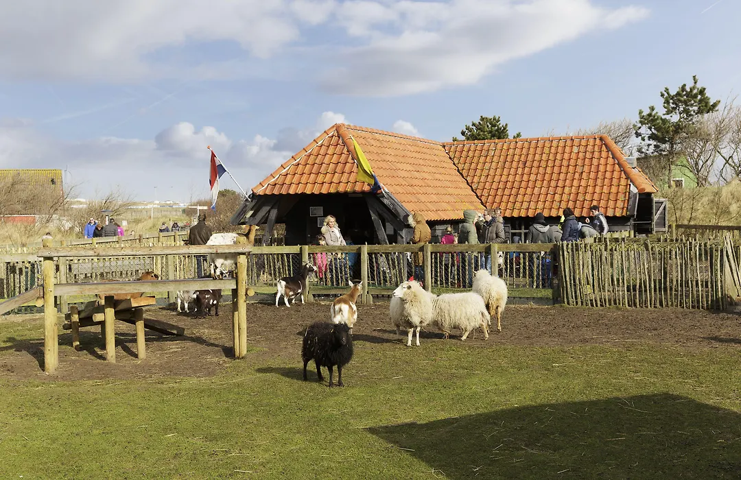 Center Parcs Zandvoort Beach-1